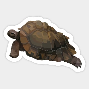 Tortoise Sticker